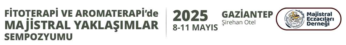 3. Ulusal Majistral Kongresi